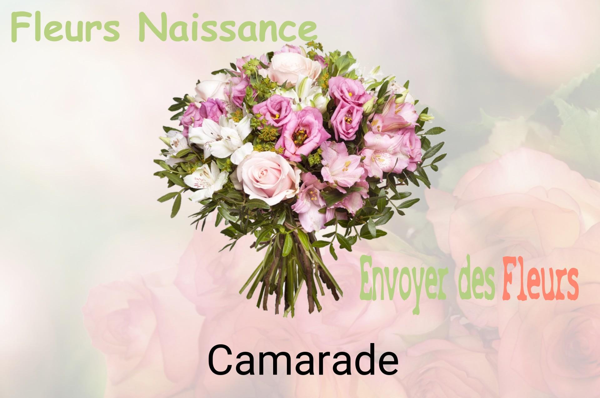 Bouquet de fleurs de naissance livré à Camarade