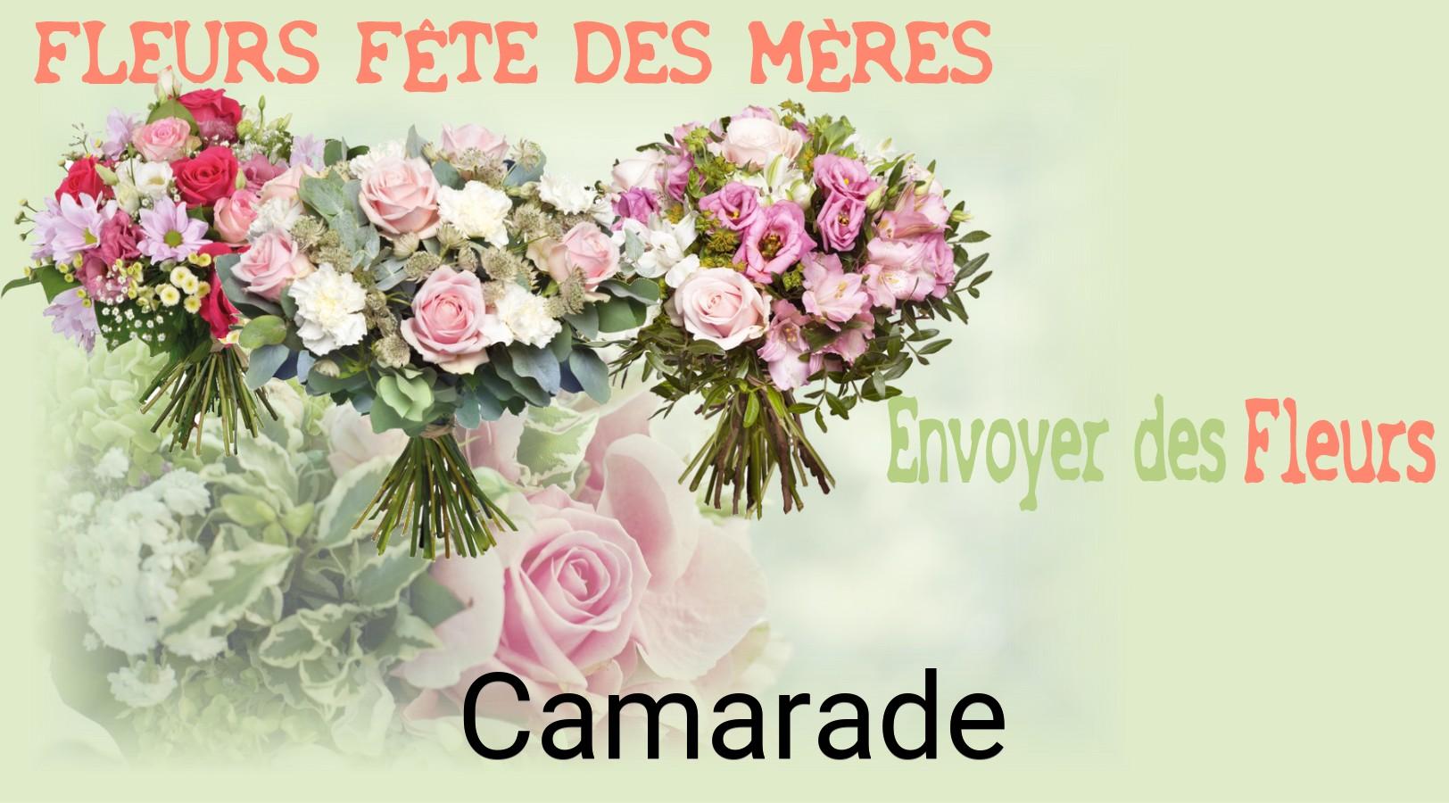 Bouquet de Fête des Mères livré à Camarade