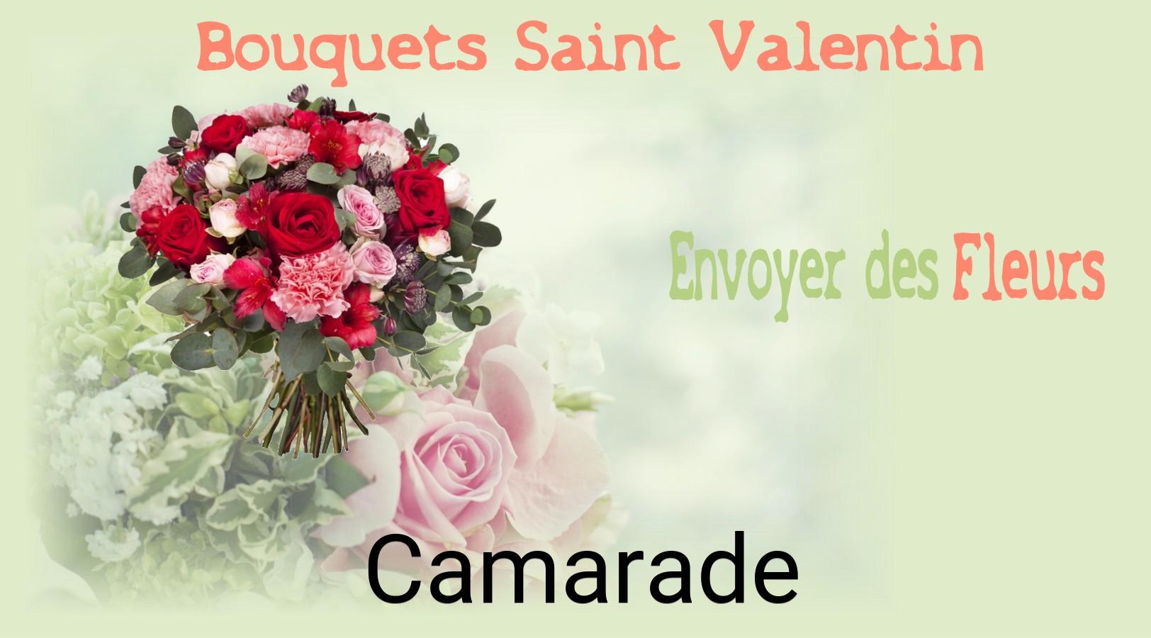 Roses de Saint-Valentin livrées à Camarade